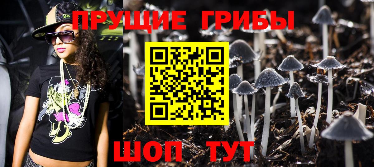 ГАШ Новотроицк