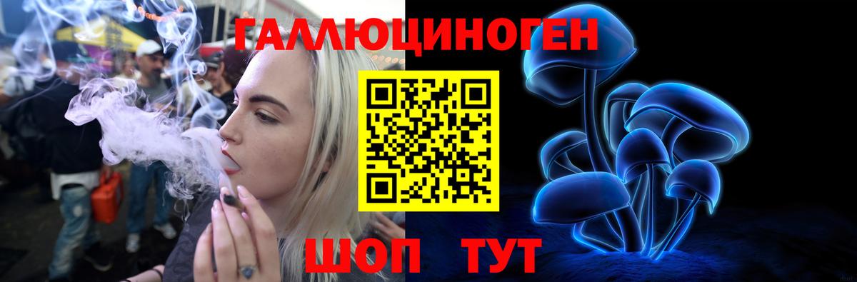 Псилоцибиновые грибы мицелий  Вход с VPN  где можно купить   Новотроицк 